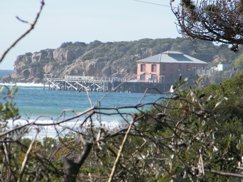 49 Andy Poole Drive, Tathra NSW 2550