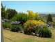 171 Brianderry Road, Bega NSW 2550