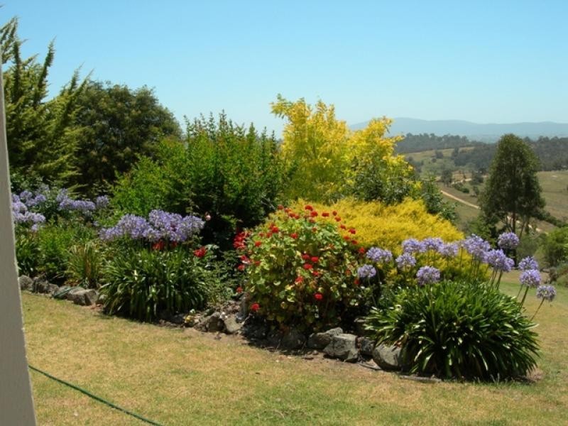 171 Brianderry Road, Bega NSW 2550