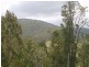 Lot 13/ Norwood St, Wyndham NSW 2550