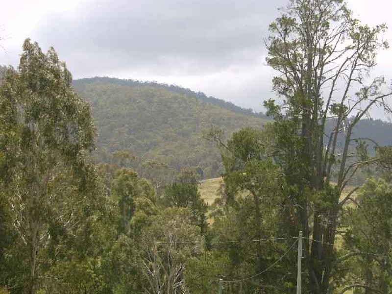 Lot 13/ Norwood St, Wyndham NSW 2550