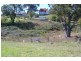 19 Oak St, Wyndham NSW 2550