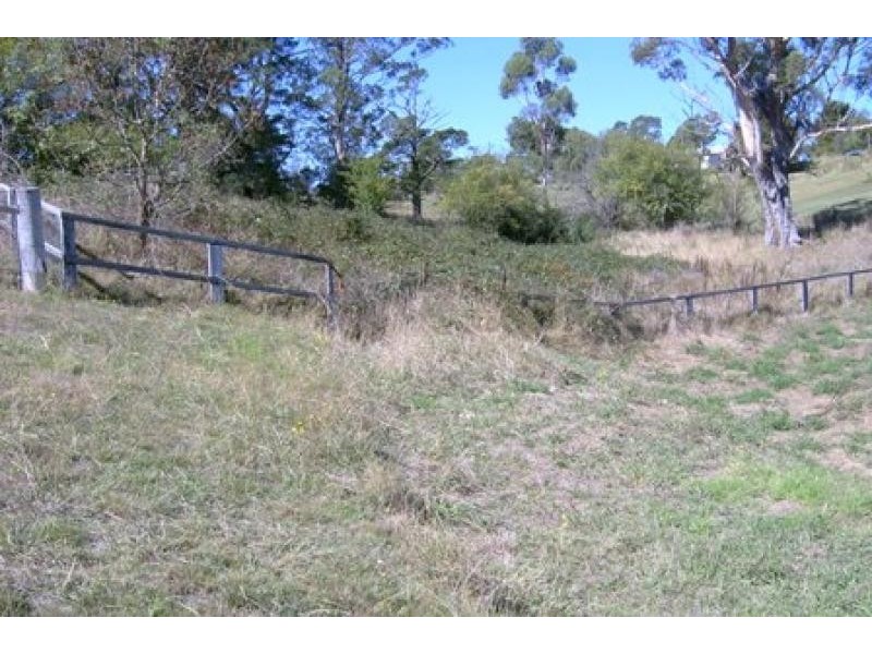 19 Oak St, Wyndham NSW 2550