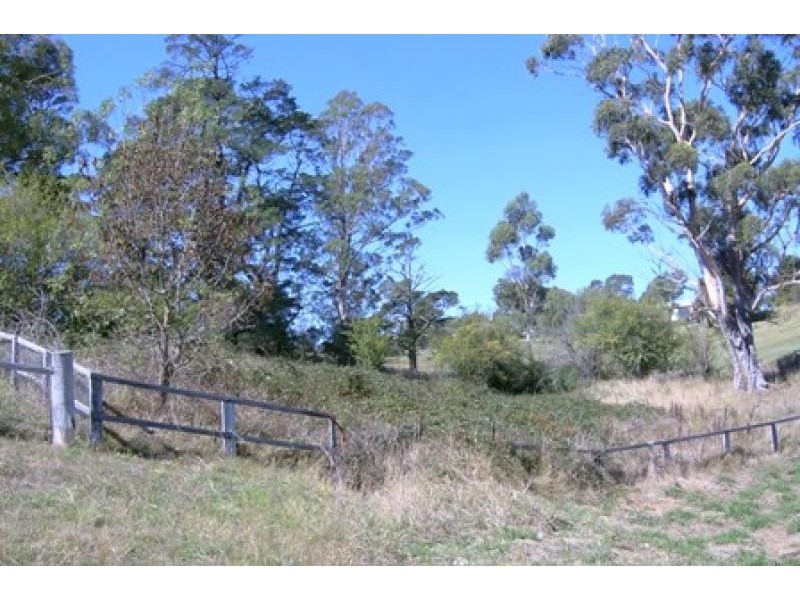 19 Oak St, Wyndham NSW 2550