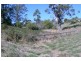 19 Oak St, Wyndham NSW 2550