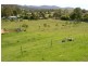 19 Oak St, Wyndham NSW 2550