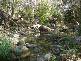 Rocky Hall NSW 2550