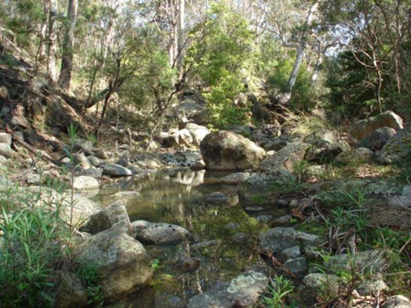 Rocky Hall NSW 2550