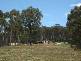 Wyndham NSW 2550