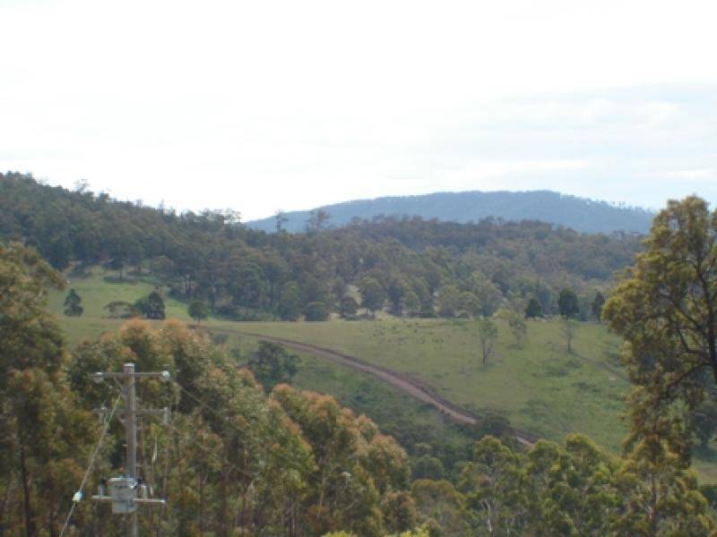 Wyndham NSW 2550
