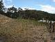 Wyndham NSW 2550