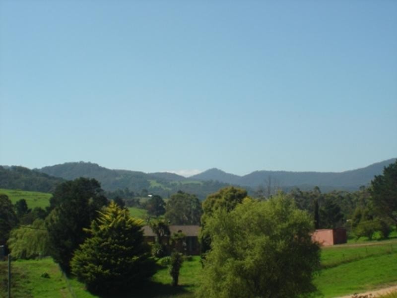 Lot 14/14 Norwood St, Wyndham NSW 2550