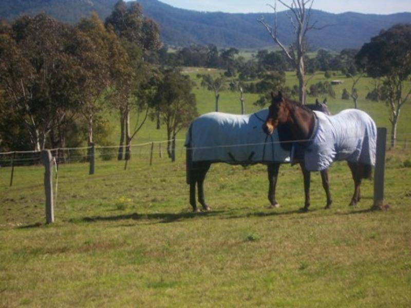 73 CHERRY LANE, Wolumla NSW 2550