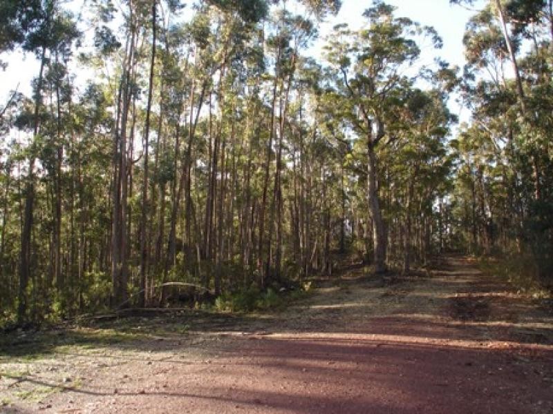 Lot 844 Kiaka Road, Nethercote NSW 2549