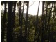Lot 844 Kiaka Road, Nethercote NSW 2549
