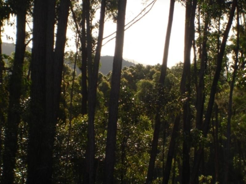 Lot 844 Kiaka Road, Nethercote NSW 2549