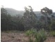 Lot 844 Kiaka Road, Nethercote NSW 2549