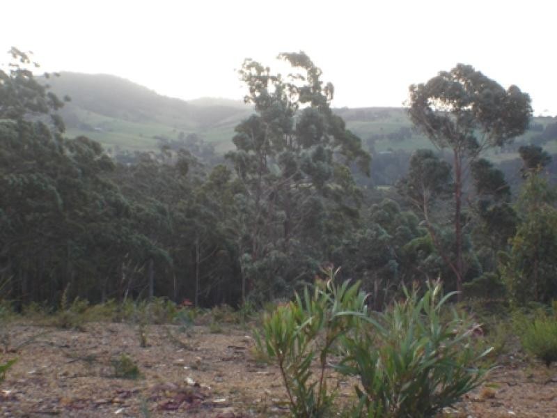 Lot 844 Kiaka Road, Nethercote NSW 2549