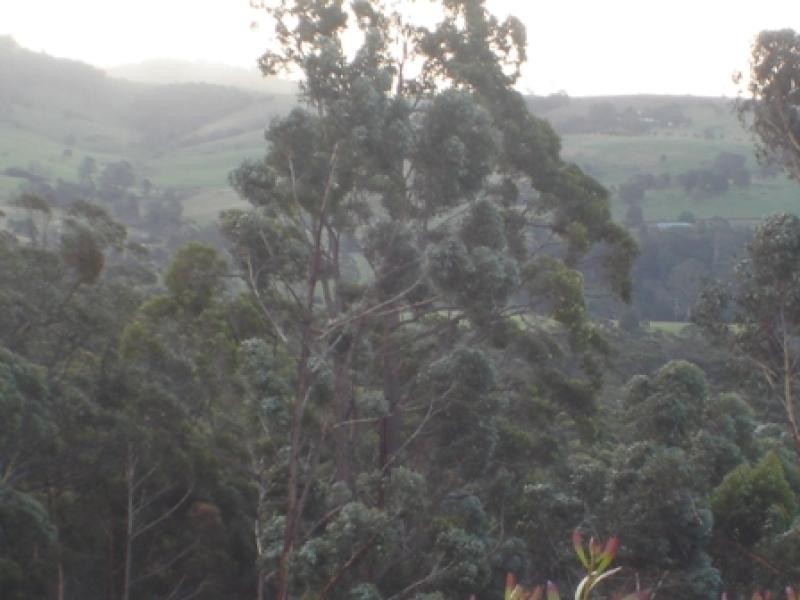 Lot 844 Kiaka Road, Nethercote NSW 2549