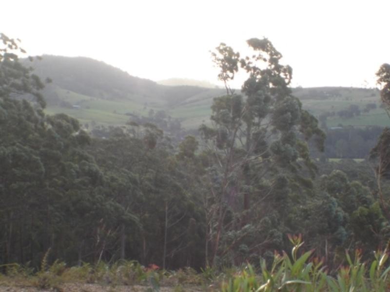 Lot 844 Kiaka Road, Nethercote NSW 2549