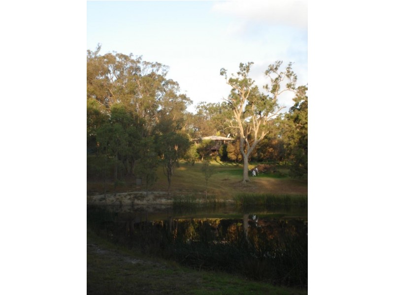 475 Wyndham lane, Candelo NSW 2550