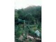 974 Back Creek Road, Lochiel NSW 2549