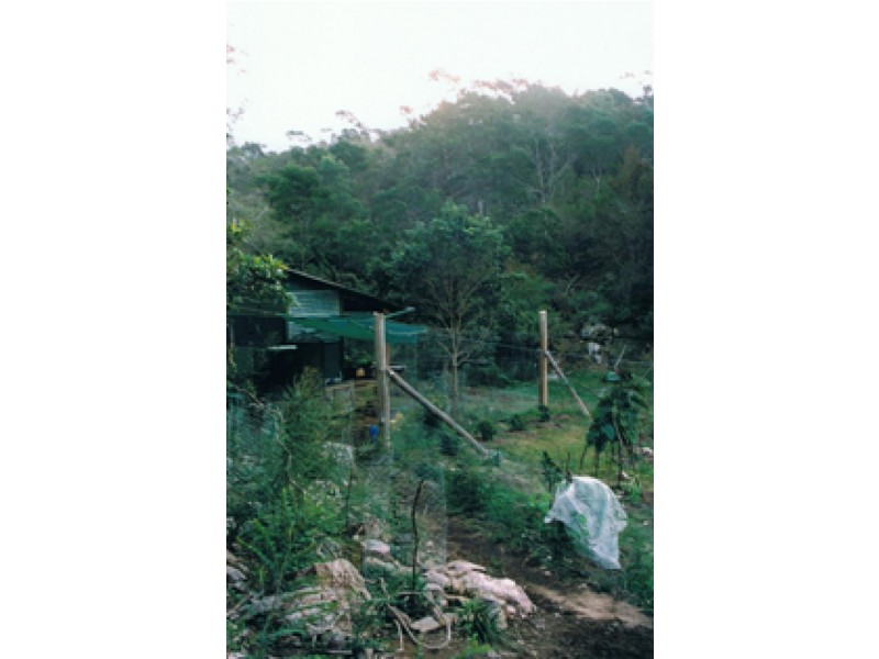 974 Back Creek Road, Lochiel NSW 2549