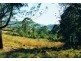 974 Back Creek Road, Lochiel NSW 2549