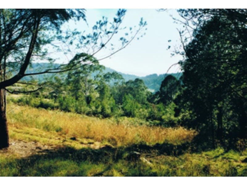 974 Back Creek Road, Lochiel NSW 2549