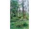 974 Back Creek Road, Lochiel NSW 2549