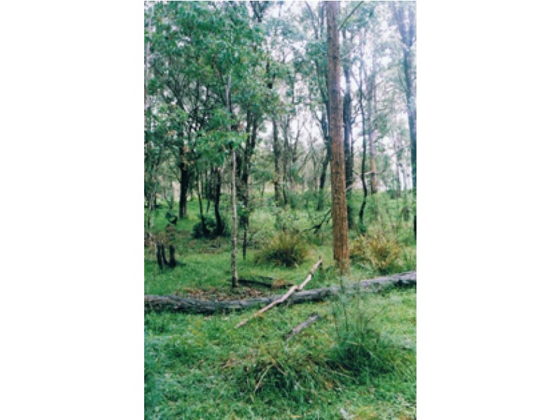 974 Back Creek Road, Lochiel NSW 2549