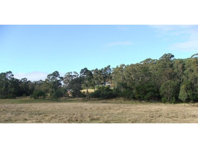 36 Yowaka River Road, Greigs Flat NSW 2549