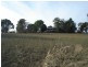 1321 Candelo-Wolumla Rd, Candelo NSW 2550