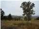 1321 Candelo-Wolumla Rd, Candelo NSW 2550