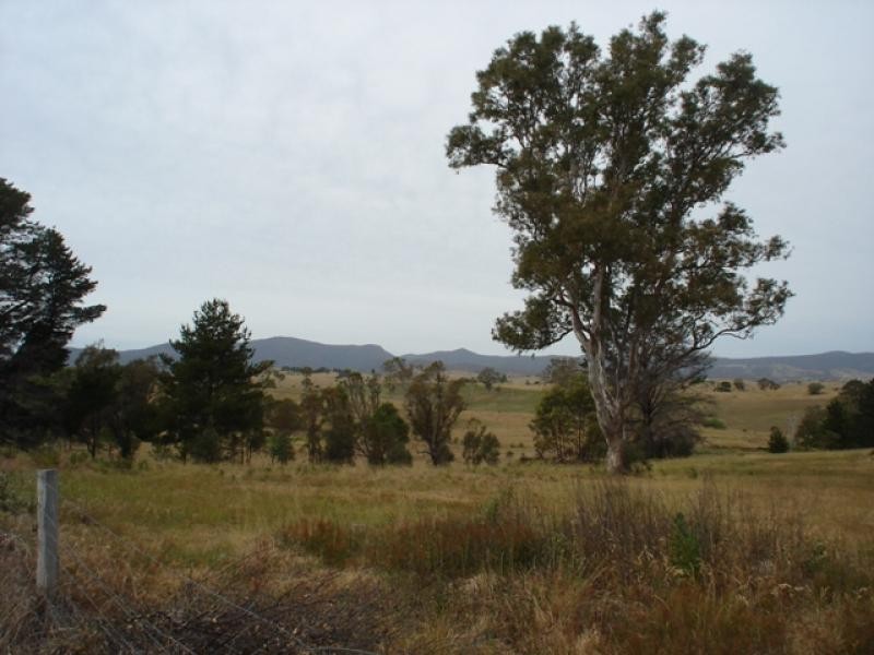 1321 Candelo-Wolumla Rd, Candelo NSW 2550