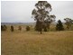 1321 Candelo-Wolumla Rd, Candelo NSW 2550