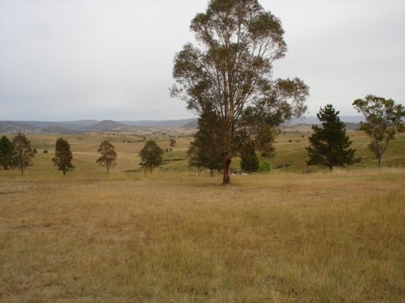 1321 Candelo-Wolumla Rd, Candelo NSW 2550