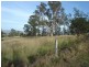 1321 Candelo-Wolumla Rd, Candelo NSW 2550