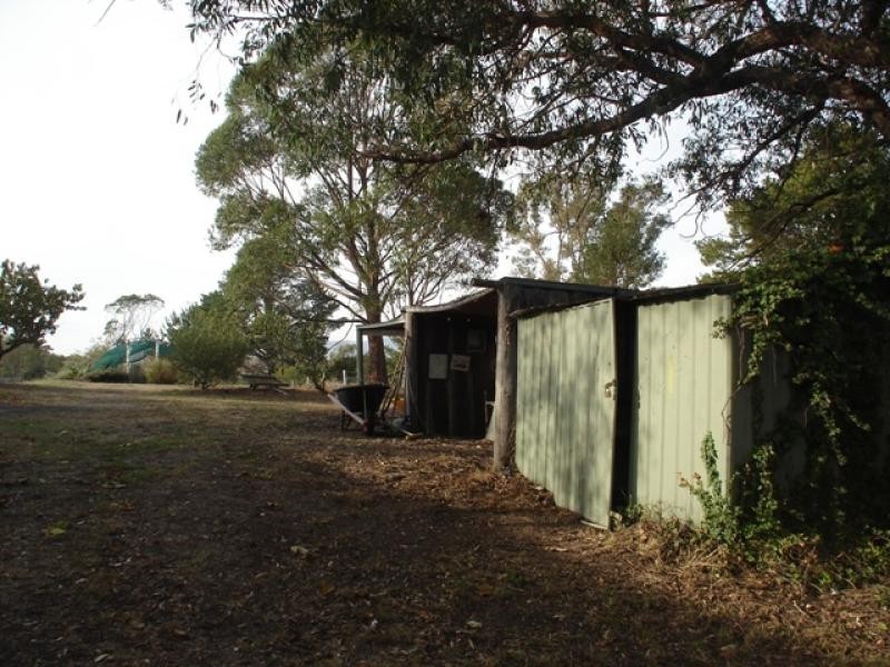 1321 Candelo-Wolumla Rd, Candelo NSW 2550