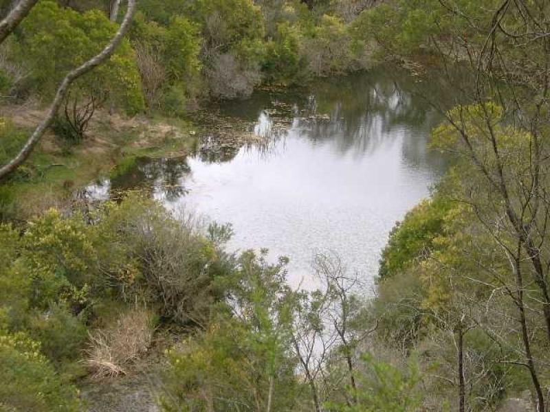 Lot 708/ New Buildings Rd, Wyndham NSW 2550