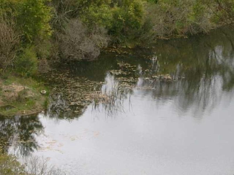 Lot 708/ New Buildings Rd, Wyndham NSW 2550