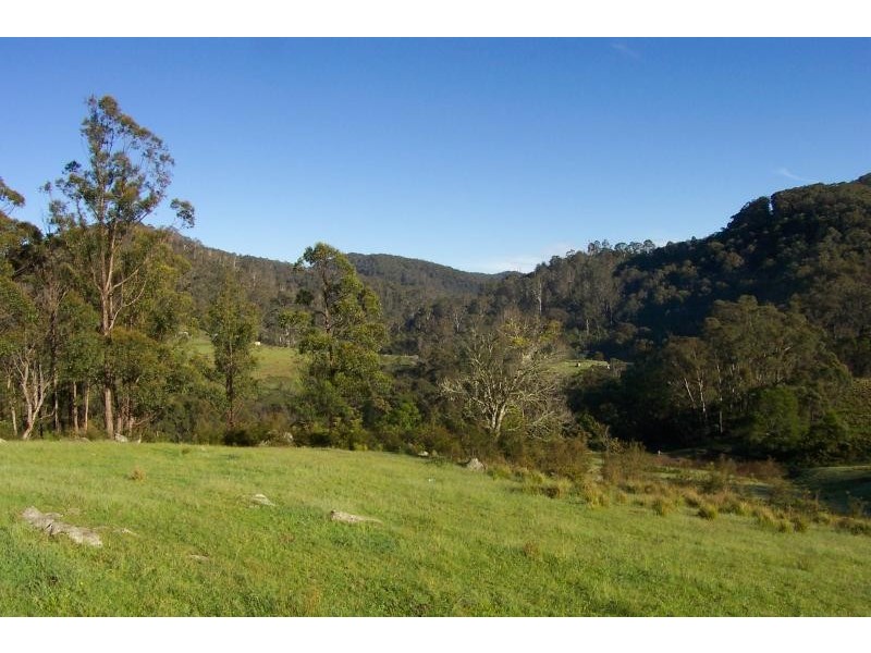 Lot 121/ Mt Darragh Rd, Wyndham NSW 2550