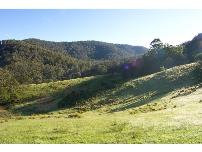Lot 121/ Mt Darragh Rd, Wyndham NSW 2550