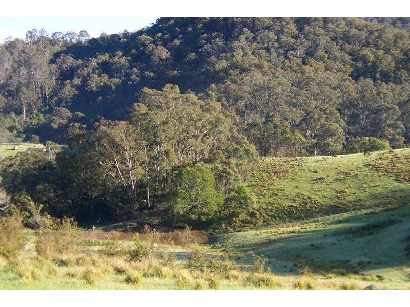 Lot 121/ Mt Darragh Rd, Wyndham NSW 2550