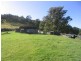 Lot 121/ Mt Darragh Rd, Wyndham NSW 2550