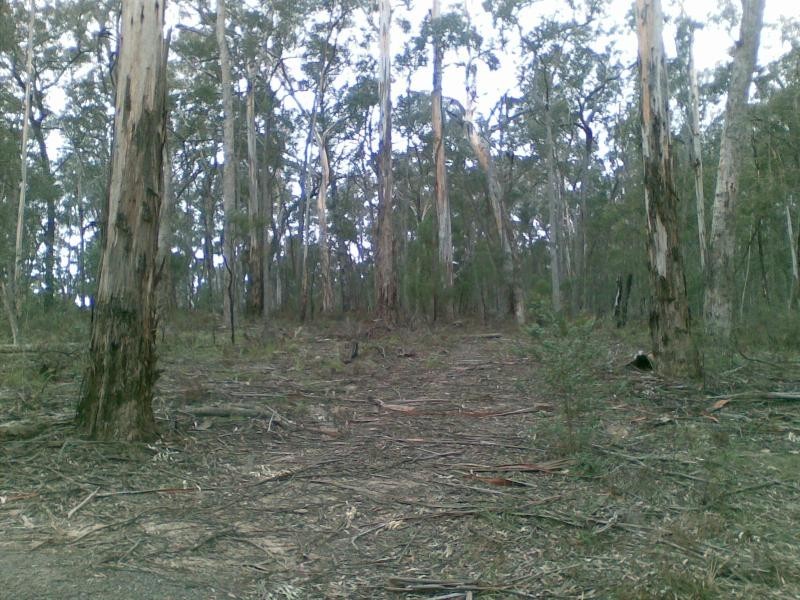 Lot 939/ Burragate Road, Wyndham NSW 2550
