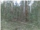Lot 939/ Burragate Road, Wyndham NSW 2550