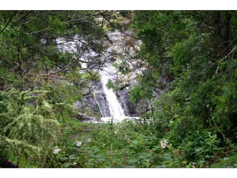 194 East Cochranes Road, Wolumla NSW 2550