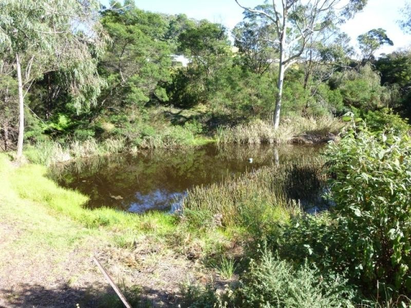 Lot 2067 Princes Highway, Wolumla NSW 2550