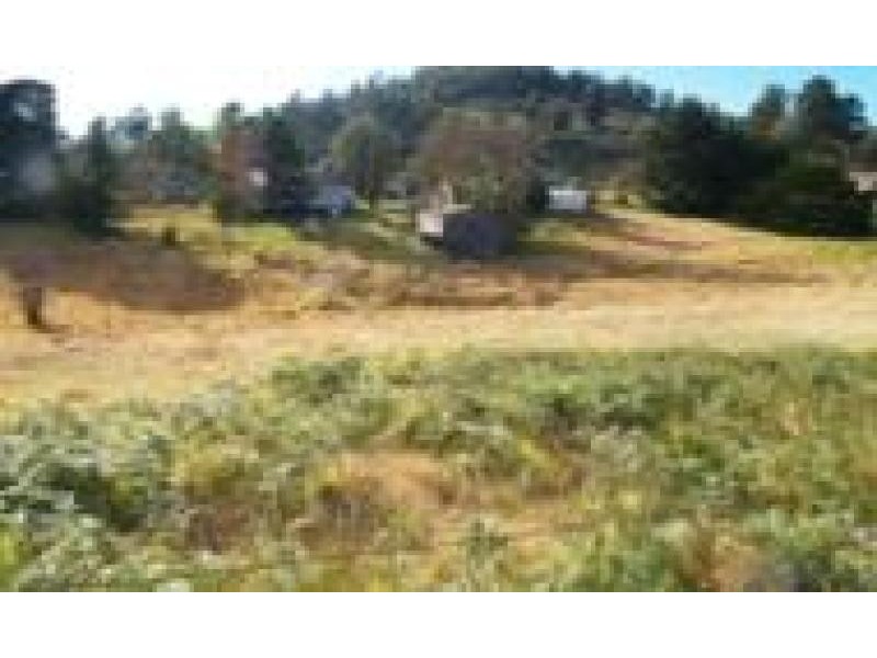 17 Phillips Street, Wolumla NSW 2550